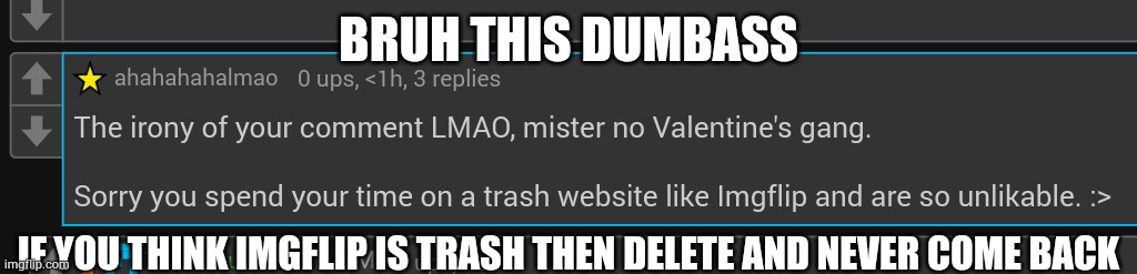 BRUH THIS DUMBASS; IF YOU THINK IMGFLIP IS TRASH THEN DELETE AND NEVER COME BACK | made w/ Imgflip meme maker
