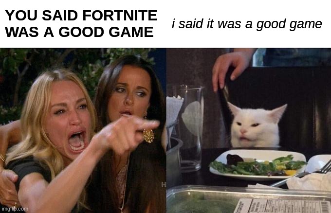 Woman Yelling At Cat | YOU SAID FORTNITE WAS A GOOD GAME; i said it was a good game | image tagged in memes,woman yelling at cat | made w/ Imgflip meme maker