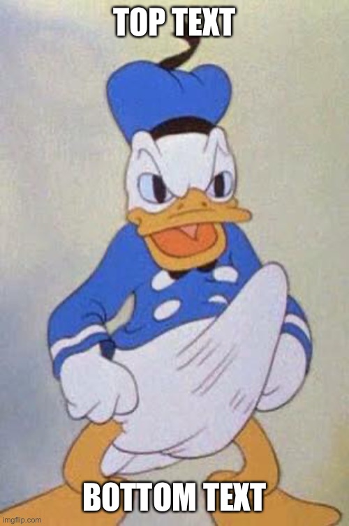 TITLE HERE |  TOP TEXT; BOTTOM TEXT | image tagged in horny donald duck | made w/ Imgflip meme maker