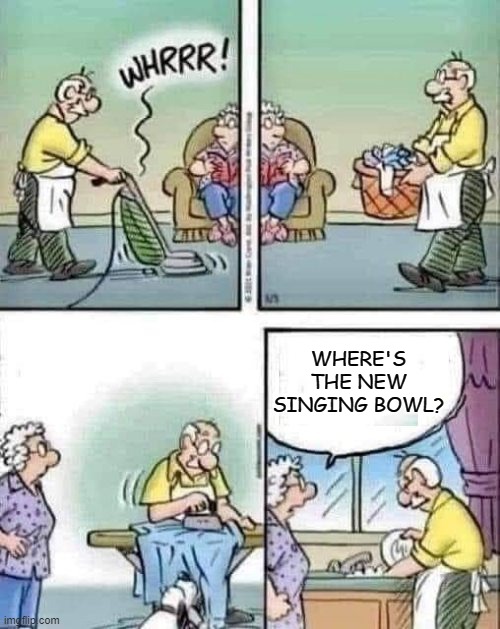 Cleaning Husband | WHERE'S THE NEW SINGING BOWL? | image tagged in cleaning husband | made w/ Imgflip meme maker