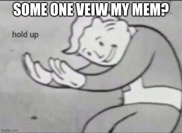 use when view | SOME ONE VEIW MY MEM? | image tagged in fallout hold up | made w/ Imgflip meme maker