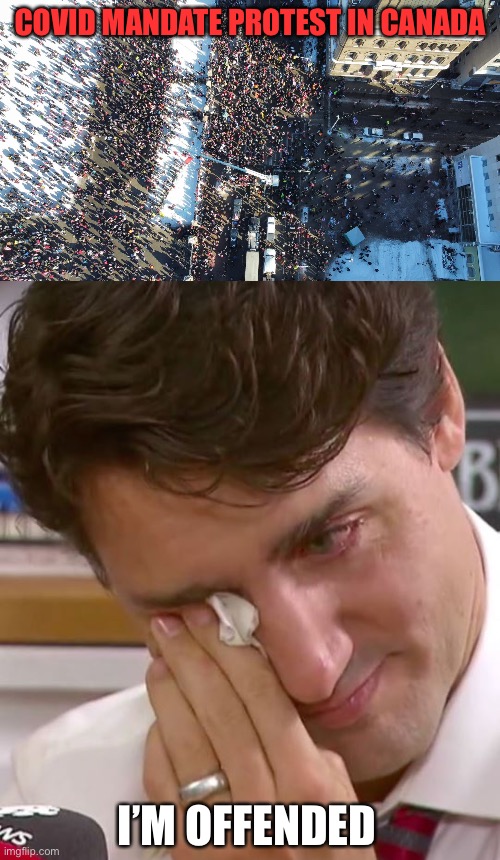 COVID MANDATE PROTEST IN CANADA; I’M OFFENDED | image tagged in canadian trucker protest,justin trudeau crying | made w/ Imgflip meme maker