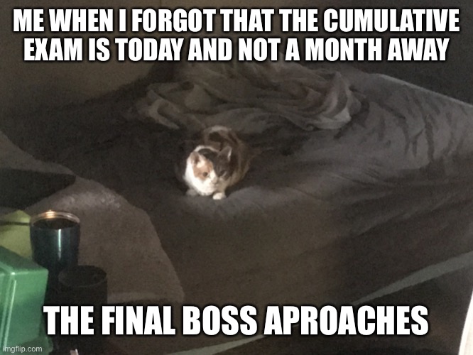 Cumulative exam | ME WHEN I FORGOT THAT THE CUMULATIVE EXAM IS TODAY AND NOT A MONTH AWAY; THE FINAL BOSS APROACHES | image tagged in the final boss | made w/ Imgflip meme maker