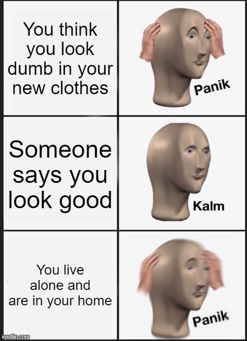 Panik Kalm Panik | You think you look dumb in your new clothes; Someone says you look good; You live alone and are in your home | image tagged in memes,panik kalm panik | made w/ Imgflip meme maker