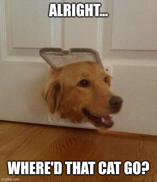 Dog door | ALRIGHT... WHERE'D THAT CAT GO? | image tagged in dog door | made w/ Imgflip meme maker