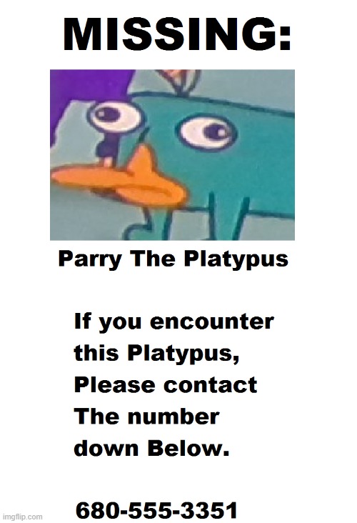 MISSING: Parry the Platypus | image tagged in memes | made w/ Imgflip meme maker