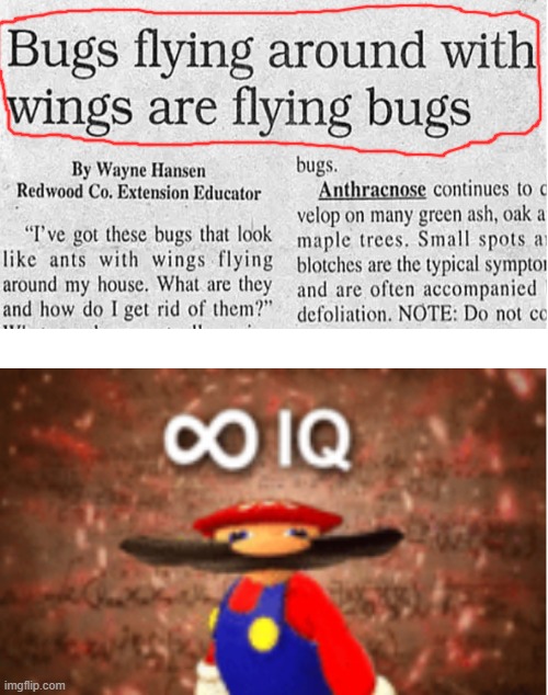 bugs | image tagged in infinite iq,bugs,flying bugs | made w/ Imgflip meme maker