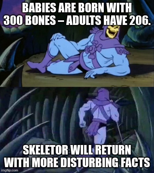 Skeletor disturbing facts | BABIES ARE BORN WITH 300 BONES – ADULTS HAVE 206. SKELETOR WILL RETURN WITH MORE DISTURBING FACTS | image tagged in skeletor disturbing facts | made w/ Imgflip meme maker