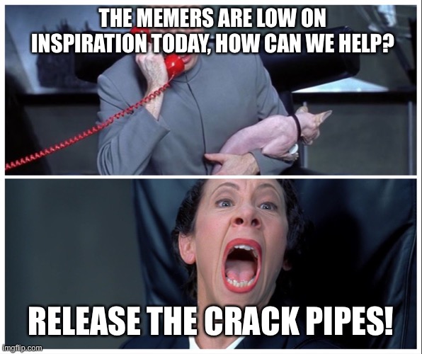 Thank you Brandon | THE MEMERS ARE LOW ON INSPIRATION TODAY, HOW CAN WE HELP? RELEASE THE CRACK PIPES! | image tagged in dr evil and frau yelling | made w/ Imgflip meme maker