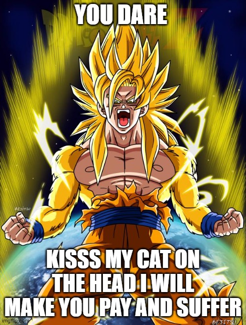 YOU WILL PAY | YOU DARE; KISSS MY CAT ON THE HEAD I WILL MAKE YOU PAY AND SUFFER | image tagged in goku | made w/ Imgflip meme maker