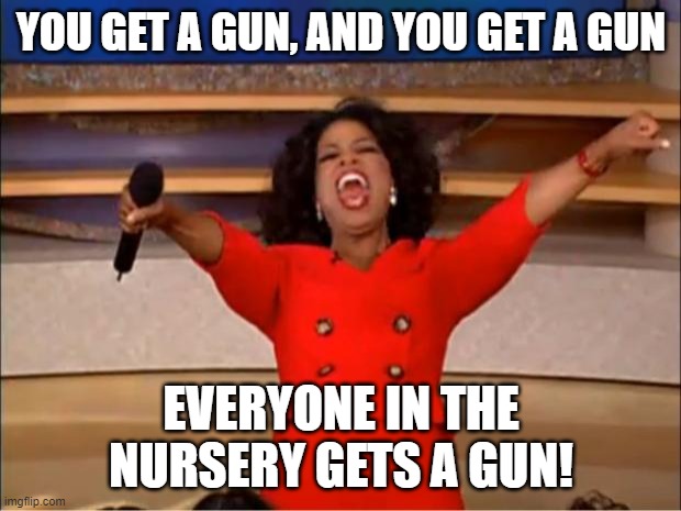 Oprah You Get A Meme | YOU GET A GUN, AND YOU GET A GUN EVERYONE IN THE NURSERY GETS A GUN! | image tagged in memes,oprah you get a | made w/ Imgflip meme maker