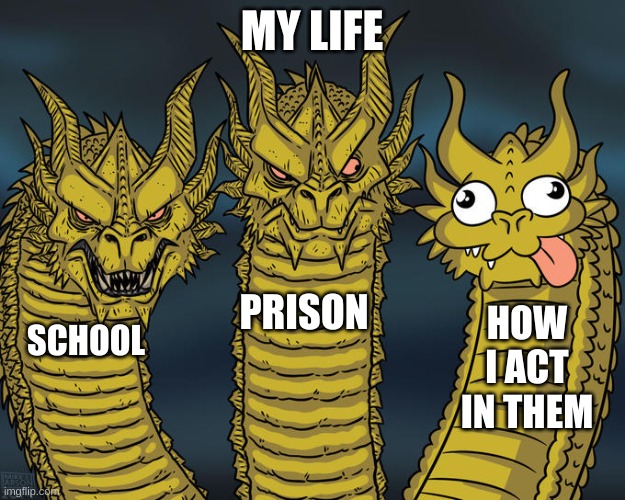 My Life | MY LIFE; PRISON; HOW I ACT IN THEM; SCHOOL | image tagged in three-headed dragon | made w/ Imgflip meme maker