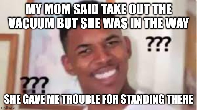 this happened | MY MOM SAID TAKE OUT THE VACUUM BUT SHE WAS IN THE WAY; SHE GAVE ME TROUBLE FOR STANDING THERE | image tagged in drake hotline bling | made w/ Imgflip meme maker