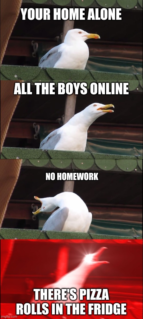 Inhaling Seagull Meme | YOUR HOME ALONE; ALL THE BOYS ONLINE; NO HOMEWORK; THERE'S PIZZA ROLLS IN THE FRIDGE | image tagged in memes,inhaling seagull | made w/ Imgflip meme maker