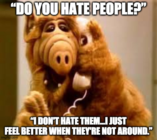 Charles Bukowski is Alf | “DO YOU HATE PEOPLE?”; “I DON'T HATE THEM...I JUST FEEL BETTER WHEN THEY'RE NOT AROUND.” | image tagged in alf,hater,life,society,people | made w/ Imgflip meme maker