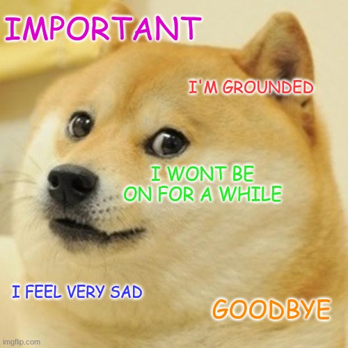 IMPORTANT | IMPORTANT; I'M GROUNDED; I WONT BE ON FOR A WHILE; I FEEL VERY SAD; GOODBYE | image tagged in memes,doge,cats,gaming,food,politics | made w/ Imgflip meme maker
