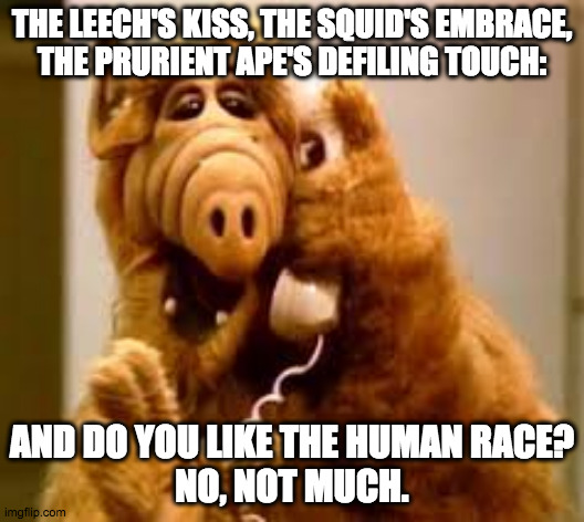 Misanthrope Alf | THE LEECH'S KISS, THE SQUID'S EMBRACE,
THE PRURIENT APE'S DEFILING TOUCH:; AND DO YOU LIKE THE HUMAN RACE?
NO, NOT MUCH. | image tagged in alf,stupid people,i hate you,rebel,loner | made w/ Imgflip meme maker