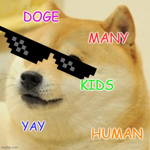 Doge Meme | DOGE; MANY; KIDS; YAY; HUMAN | image tagged in memes,doge | made w/ Imgflip meme maker