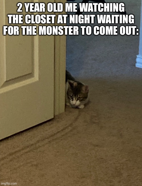 This is my Cat btw | 2 YEAR OLD ME WATCHING THE CLOSET AT NIGHT WAITING FOR THE MONSTER TO COME OUT: | image tagged in cats,funny cats,memes | made w/ Imgflip meme maker