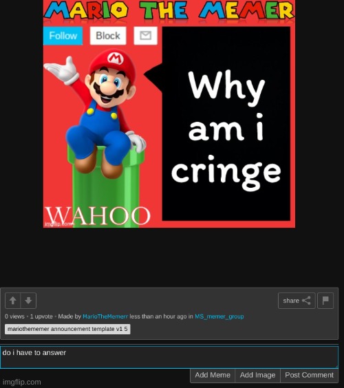 made w/ Imgflip meme maker