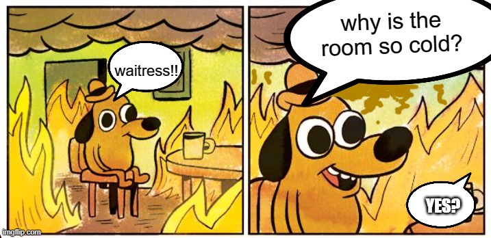 Dropping by the diner for some hot dogs... | why is the room so cold? waitress!! YES? | image tagged in fun,funny,this is fine,this is fine dog,comedy,stupid | made w/ Imgflip meme maker