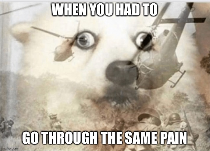 PTSD dog | WHEN YOU HAD TO GO THROUGH THE SAME PAIN | image tagged in ptsd dog | made w/ Imgflip meme maker