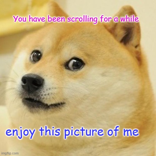 Doge | You have been scrolling for a while; enjoy this picture of me | image tagged in memes,doge | made w/ Imgflip meme maker