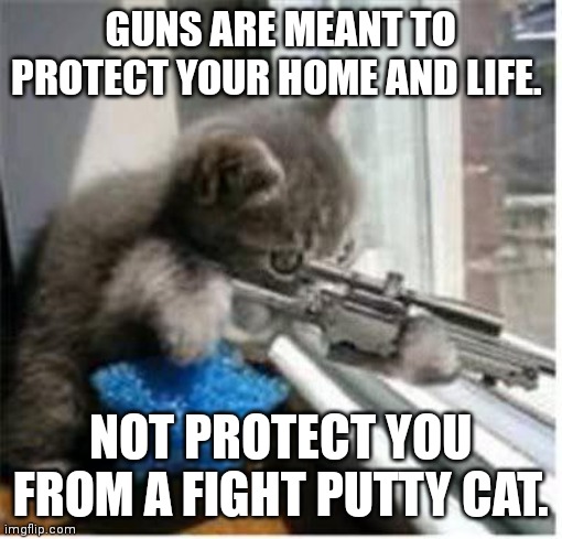 cats with guns |  GUNS ARE MEANT TO PROTECT YOUR HOME AND LIFE. NOT PROTECT YOU FROM A FIGHT PUTTY CAT. | image tagged in cats with guns | made w/ Imgflip meme maker