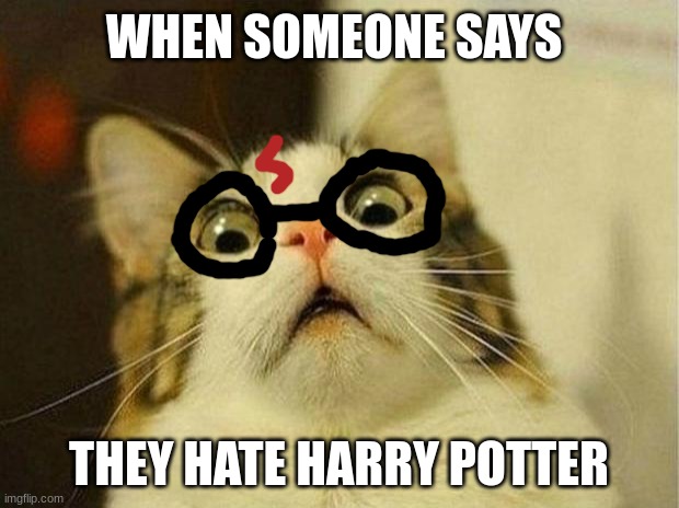 Scared Cat | WHEN SOMEONE SAYS; THEY HATE HARRY POTTER | image tagged in memes,scared cat | made w/ Imgflip meme maker