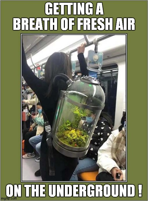 Eco Back Pack ! | GETTING A BREATH OF FRESH AIR; ON THE UNDERGROUND ! | image tagged in fun,fresh air,underground | made w/ Imgflip meme maker