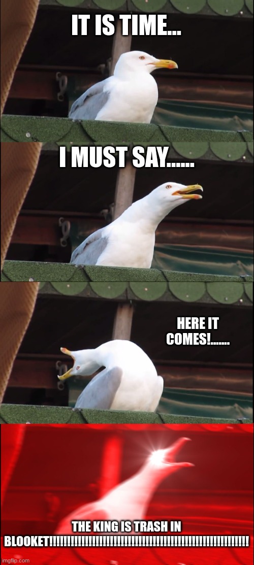 Inhaling Seagull | IT IS TIME... I MUST SAY...... HERE IT COMES!....... THE KING IS TRASH IN BLOOKET!!!!!!!!!!!!!!!!!!!!!!!!!!!!!!!!!!!!!!!!!!!!!!!!!!!!!!!! | image tagged in memes,inhaling seagull | made w/ Imgflip meme maker