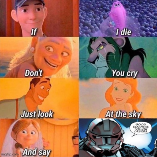 if i die don't you cry | image tagged in if i die don't you cry,good soldiers follow orders | made w/ Imgflip meme maker