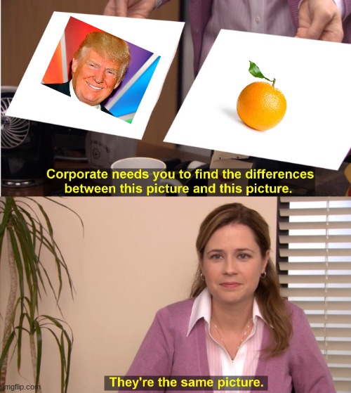 I cant tell the difference | image tagged in memes,they're the same picture | made w/ Imgflip meme maker