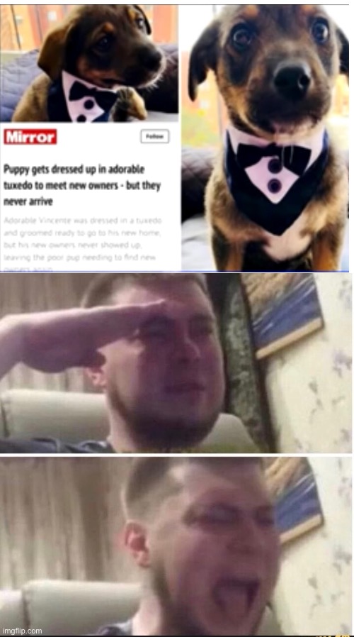 Crying salute | image tagged in crying salute | made w/ Imgflip meme maker