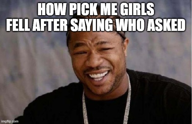 Yo Dawg Heard You | HOW PICK ME GIRLS FELL AFTER SAYING WHO ASKED | image tagged in memes,yo dawg heard you | made w/ Imgflip meme maker