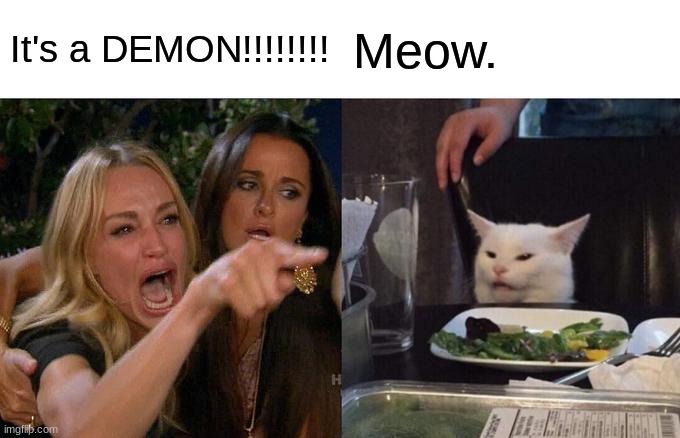 Woman Yelling At Cat | It's a DEMON!!!!!!!! Meow. | image tagged in memes,woman yelling at cat | made w/ Imgflip meme maker
