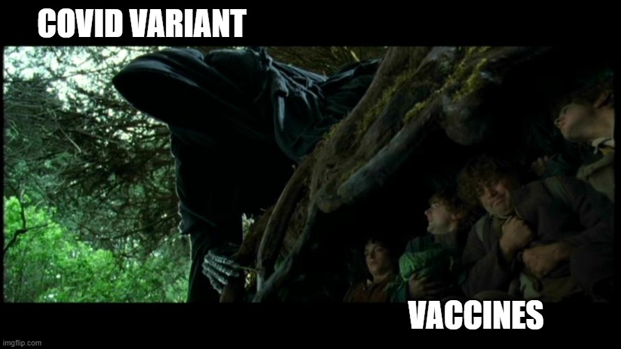 Variant vs vaccine | COVID VARIANT; VACCINES | image tagged in hobbits hide from nazgul | made w/ Imgflip meme maker