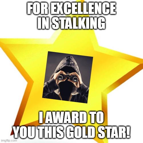 gold star | FOR EXCELLENCE IN STALKING I AWARD TO YOU THIS GOLD STAR! | image tagged in gold star | made w/ Imgflip meme maker