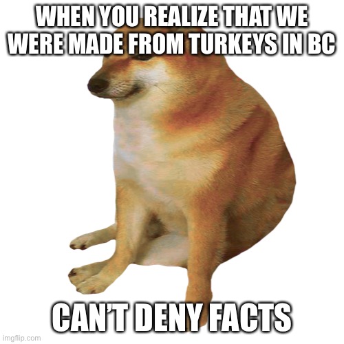 No denying facts | WHEN YOU REALIZE THAT WE WERE MADE FROM TURKEYS IN BC; CAN’T DENY FACTS | image tagged in cheems | made w/ Imgflip meme maker