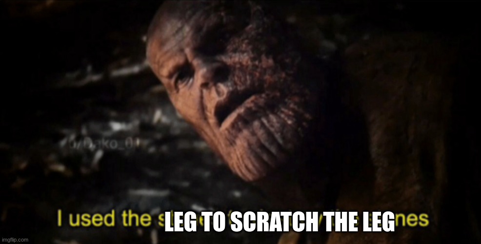 I used the stones to destroy the stones | LEG TO SCRATCH THE LEG | image tagged in i used the stones to destroy the stones | made w/ Imgflip meme maker