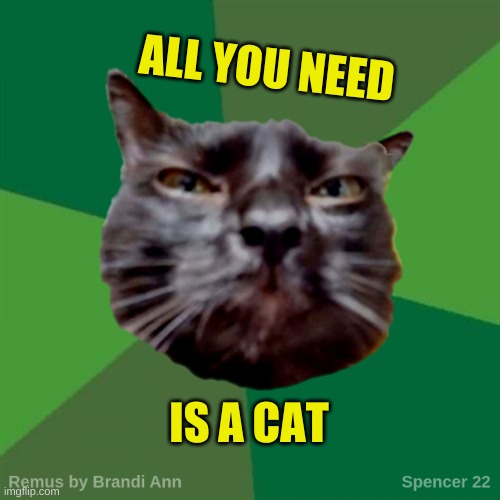 Remus | ALL YOU NEED; IS A CAT | image tagged in remus,cat,i love you,love,i need you,kitty | made w/ Imgflip meme maker