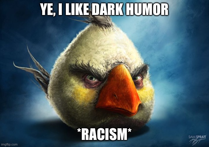 Racism 101 | YE, I LIKE DARK HUMOR; *RACISM* | image tagged in angry bird white,memes,funny | made w/ Imgflip meme maker