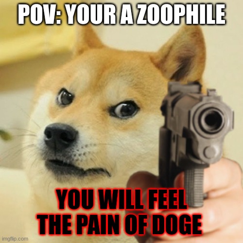 Doge holding a gun | POV: YOUR A ZOOPHILE; YOU WILL FEEL THE PAIN OF DOGE | image tagged in doge holding a gun | made w/ Imgflip meme maker