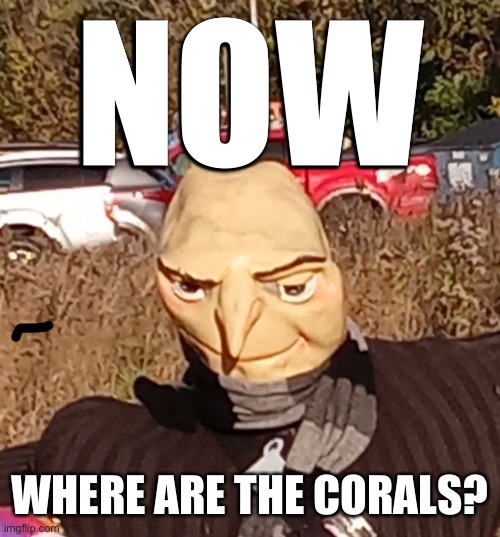 NOW; WHERE ARE THE CORALS? | made w/ Imgflip meme maker