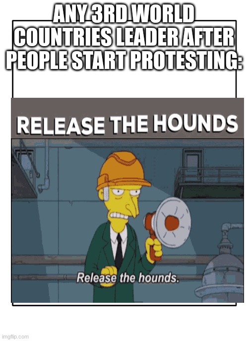 Release the hounds | ANY 3RD WORLD COUNTRIES LEADER AFTER PEOPLE START PROTESTING: | image tagged in funny,history | made w/ Imgflip meme maker