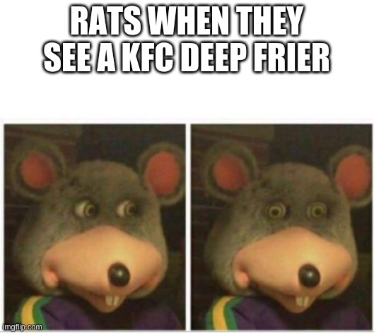 *proceeds to jump in* |  RATS WHEN THEY SEE A KFC DEEP FRIER | image tagged in chuck e cheese rat stare | made w/ Imgflip meme maker