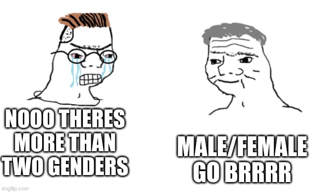 haha brrrrrrr | NOOO THERES MORE THAN TWO GENDERS MALE/FEMALE GO BRRRR | image tagged in haha brrrrrrr | made w/ Imgflip meme maker