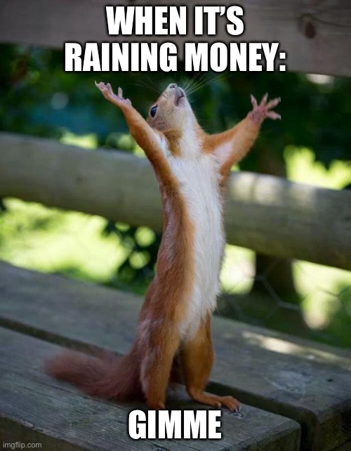 Happy Squirrel | WHEN IT’S RAINING MONEY:; GIMME | image tagged in happy squirrel | made w/ Imgflip meme maker