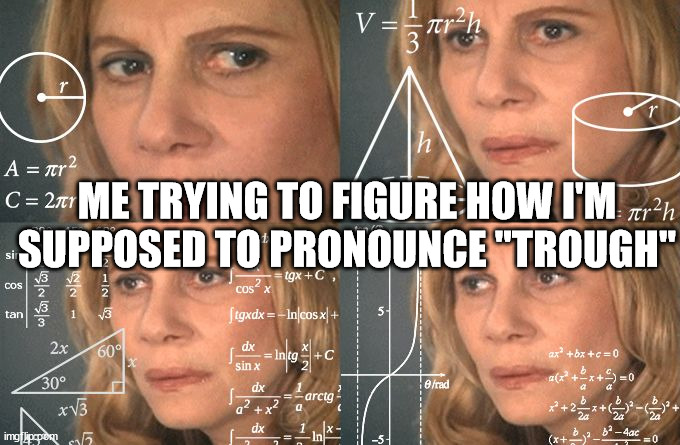 Trough | ME TRYING TO FIGURE HOW I'M SUPPOSED TO PRONOUNCE "TROUGH" | image tagged in calculating meme | made w/ Imgflip meme maker