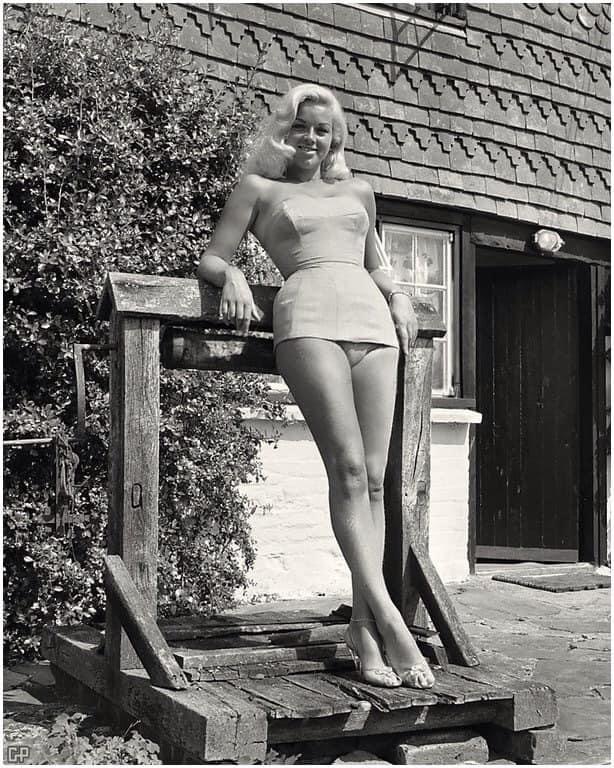 Diana Dors Blank Meme Template